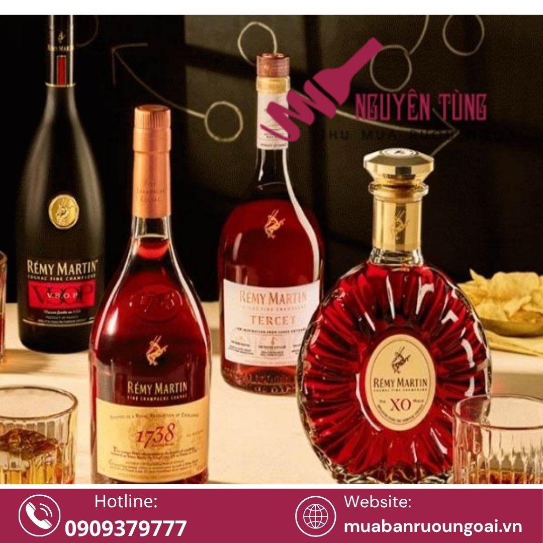Rémy Martin XO là dòng cognac cao cấp được giới sưu tầm và người yêu rượu đánh giá rất cao nhờ hương vị phức hợp, thiết kế sang trọng và thương hiệu danh giá đến từ Pháp.