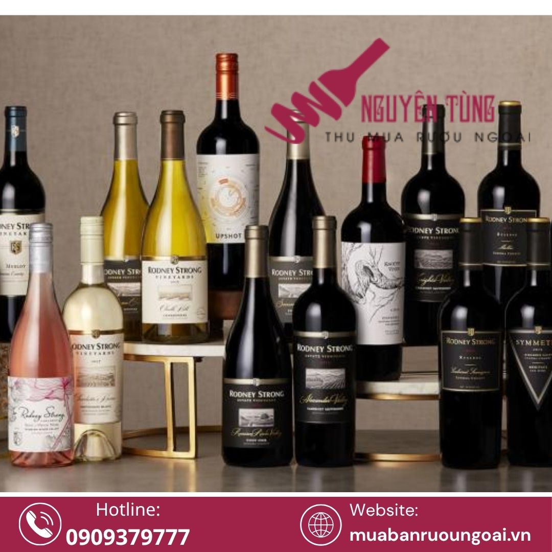 Top các loại rượu được mua bán nhiều nhất trên thị trường Việt hiện nay cho thấy sự đa dạng trong gu thưởng thức, văn hóa biếu tặng và thói quen tiêu dùng của người Việt.