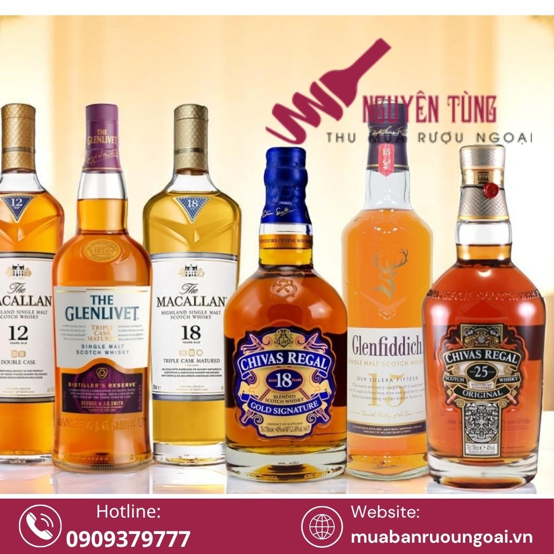 . Trong bối cảnh thị trường rượu nhập khẩu ngày càng phát triển, nhu cầu tìm nơi mua rượu ngoại chuẩn hoặc bán lại rượu chính hãng giá cao đang gia tăng mạnh mẽ tại hai thành phố lớn là TP.HCM và Hà Nội.
