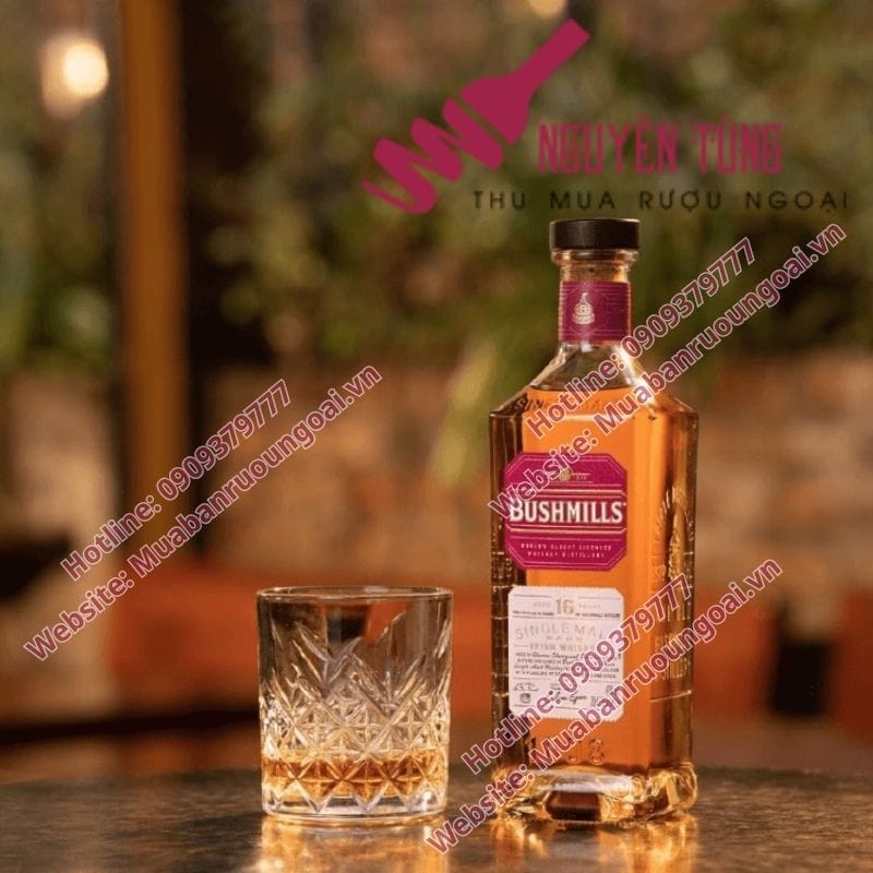 Bushmills Irish Whiskey là thương hiệu rượu lâu đời nhất Ireland, được cấp phép sản xuất từ năm 1608 tại làng Bushmills, vùng Bắc Ireland.