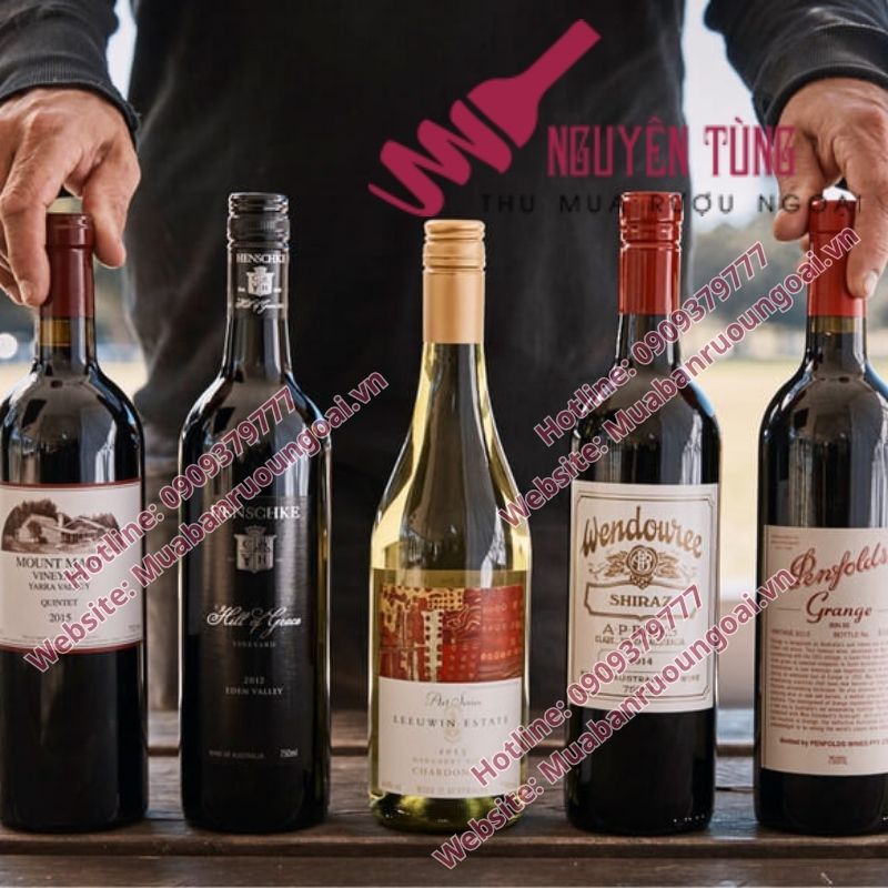 Hãy mua rượu tại địa chỉ uy tín – minh bạch – chính hãng, như NGUYÊN TÙNG THU MUA RƯỢU NGOẠI, để đảm bảo mỗi chai rượu bạn sở hữu đều là thật – chuẩn – xứng tầm đẳng cấp.